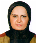 Aliquam erat
