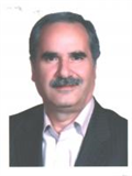 Aliquam erat
